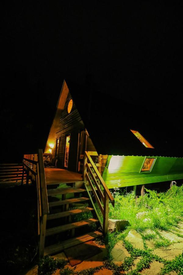 Wooden Cottage "Green House" In Bakouriani Extérieur photo