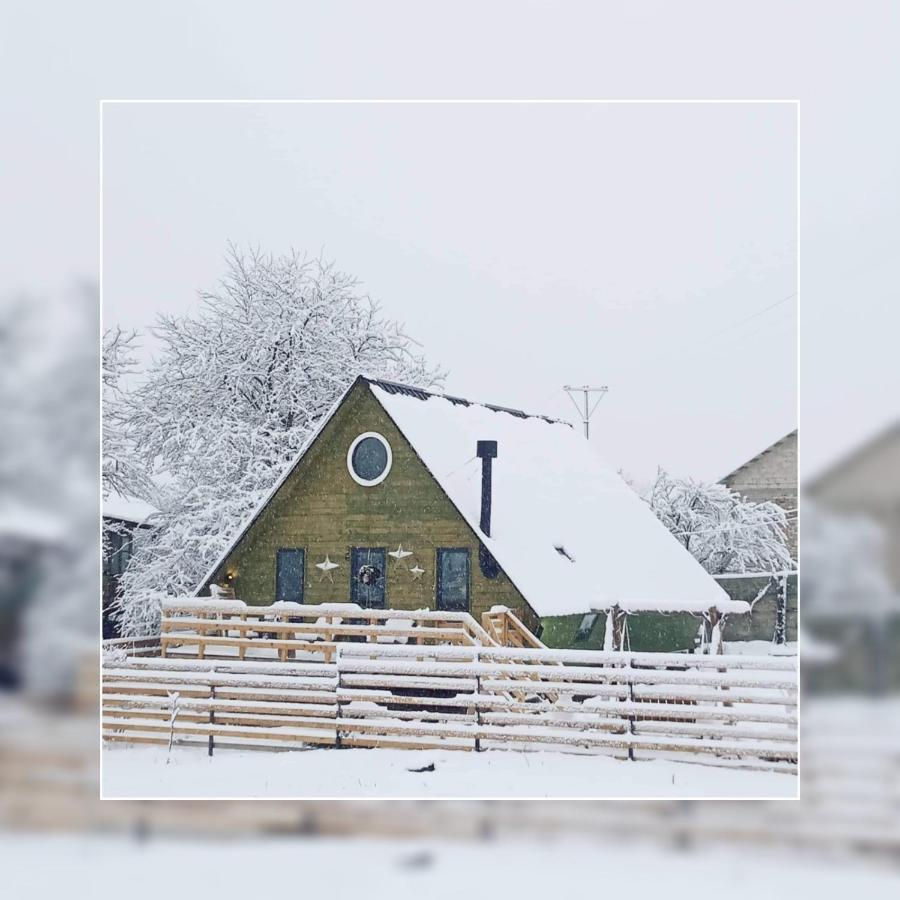 Wooden Cottage "Green House" In Bakouriani Extérieur photo
